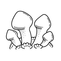 Cute mushroom in doodle style. Poisonous mushroom. Vector isolated hand illustration for coloring pages, sketch, outline