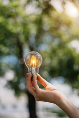 Hand holding light bulb with green background. idea solar energy in nature