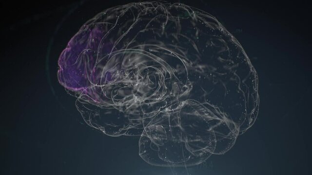 Digital model of the human brain. Brain scan technology concept. Neurosurgery diagnostic