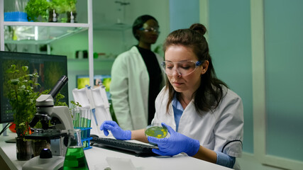 Fototapeta premium Chemist scientist taking dna solution from test tube with micropipette putting in petri dish checking biology expertise. Biologist specialist researcher working in biotechnology laboratory