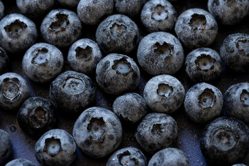 Ripe wet blueberries  on the dark background close up macro