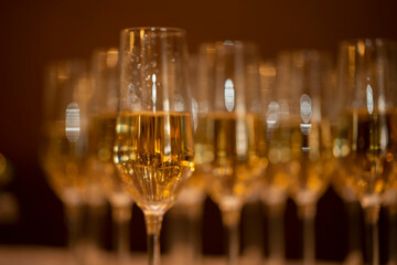 A row of beautiful champagne glasses with bokeh and blur.