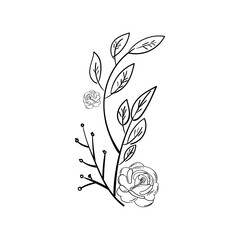 hand drawn  botanical leaf doodle wildflower