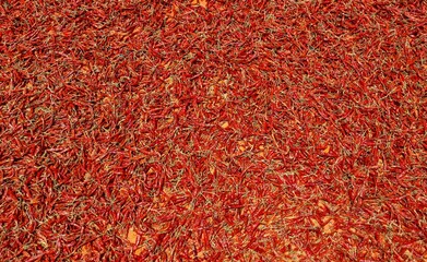 Top View of Dry Red Chilies in Sunlight in Horizontal Orientation