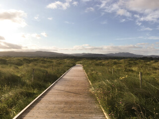 Beach boardwalk