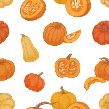 Seamless autumn pattern with pumpkins and squashes on white background. Endless repeatable texture of autumnal orange harvest. Colored hand-drawn vector illustration of vintage drawing for printing