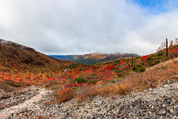 秋の茶臼岳　牛ヶ首～姥ヶ平の登山道
【panoramic view of the mountain trail of Mt. Nasu】
