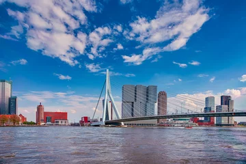 Papier Peint photo Pont Érasme Dutch Travel Concepts. Attractive View of Renowned Erasmusbrug (Swan Bridge) in  Rotterdam in front of Port and Harbour. Picture Made At Daytime.