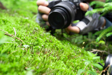 登山中に苔を撮影する男性ハイカー
