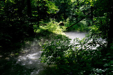 Mist rising over river at dawn.