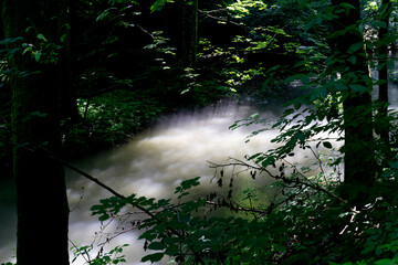 Mist rising over river at dawn.