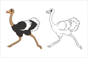 Coloring book: Long-legged cute ostrich running forward, page for children. Vector illustration of isolated line art, in cartoon style