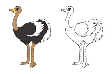 Coloring book: Long-legged cute ostrich stands with its neck extended, page for children. Vector illustration of isolated lines in cartoon style