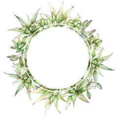 Watercolor green buds of lilies. Round frame.