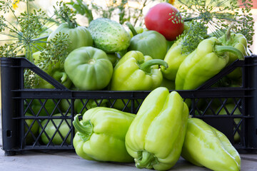 Vegetables in a black box close-up. Fresh peppers, cucumbers and tomatoes on a wooden background. Harvesting vegetables in the vegetable garden in summer.