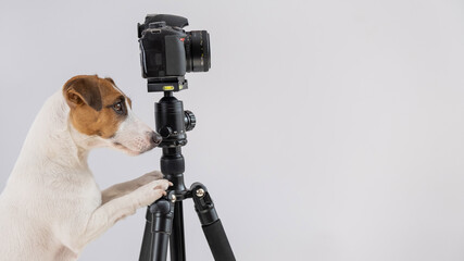 Dog jack russell terrier with glasses takes pictures on a camera on a tripod on a white background