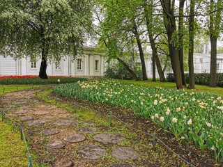 Large flower beds with red and other tulips between them, a path laid out of tree cuts on a spring...