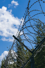 Row of curved barbed wire in rings on the background of a blue sky with white clouds