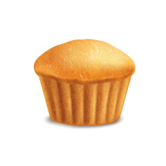 Vector muffin, baked goods, sweet food on white background. Vector icon