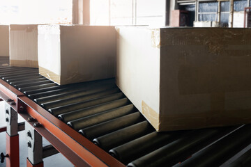 Package Boxes Moving on Rollers Conveyor Belt at Distribution Warehouse. 