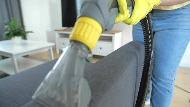 Furniture wet cleaning concept. A woman cleaning a sofa with a carpet extractor