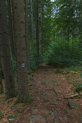 Parque Nacional Šumava