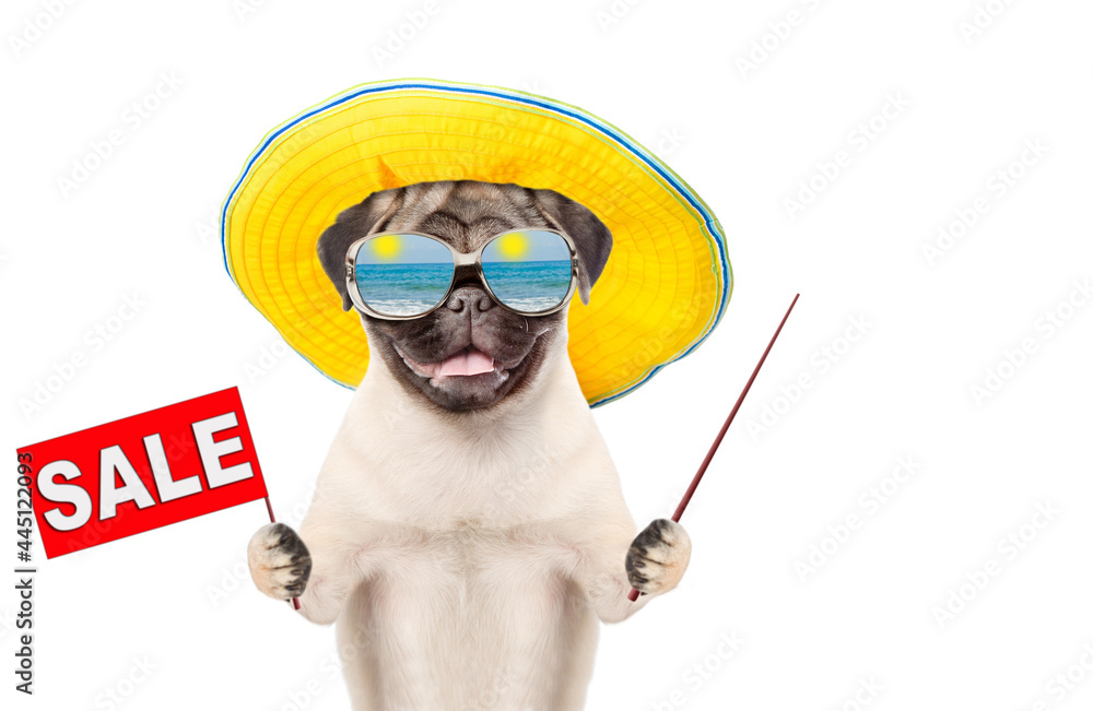 Poster pug puppy wearing mirrored sunglasses and summer hat holds sales symbol and points away on empty spa
