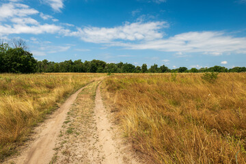 Long road in a dry field. A green forest is visible in the distance. Beautiful sky with white clouds. Summer landscape