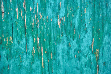 The texture of the old painted wooden surface in green.