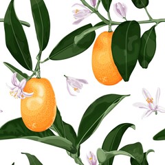 Exotic seamless pattern with kumquat fruits, flowers and leaves. Fortunella tropical fruit. Stock vector illustration isolated on white background.
