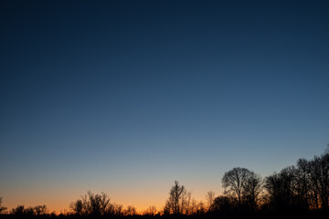 Fototapeta na wymiar Evening Sky and Tree Tops.