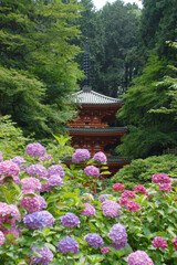 岩船寺　アジサイと三重塔　京都府木津川市