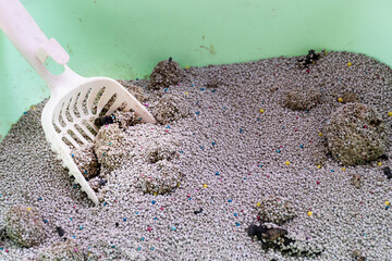 Top view white shovel in the cat litter box