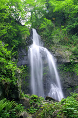 銚子ヶ滝（福島県・郡山市）