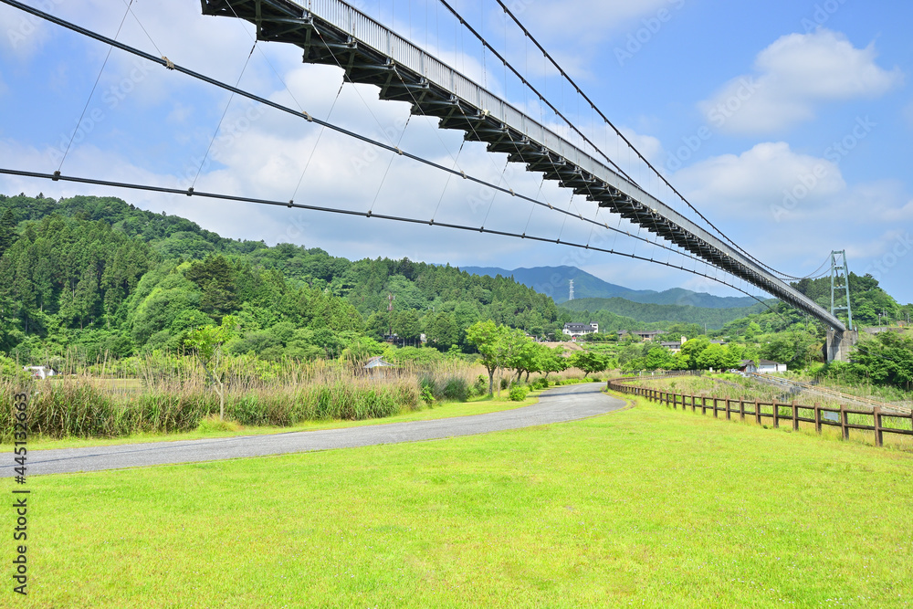 Poster 宮ケ瀬湖　吊り橋　神奈川県清川村付近の風景