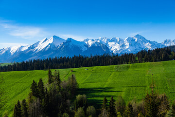 Fototapeta na wymiar Beautiful view of the snow-capped peaks of the Tatra Mountains. Poland