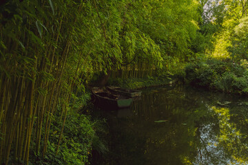 forest in the paris.