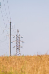 power lines in the field