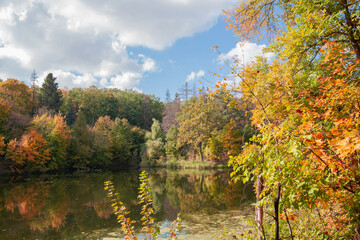 autumn forest on the shore of a quiet lake against the blue sky and lush trees
