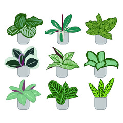 set of plant,Vector