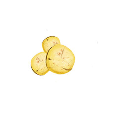 Kola nut fruit of Thai, tropical exotic food, dieting snack illustration isolated. Drawing of kola nut, natural stimulant, coke ingredient, botanic. Kola tree. Caffeine-containing nut Digital art.