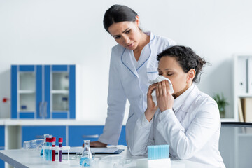 Fototapeta premium Diseased african american scientist holding napkin near nose beside colleague in lab