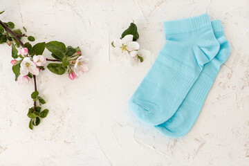 Pair of women socks on white background.