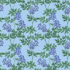 Watercolor painting seamless pattern with blue veadow flowers - corydalis yanhusuo