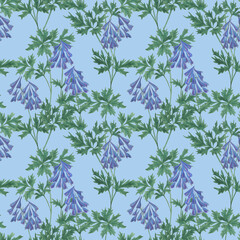 Watercolor painting seamless pattern with blue veadow flowers - corydalis yanhusuo