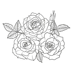 Rose flower bouquet line art isolated