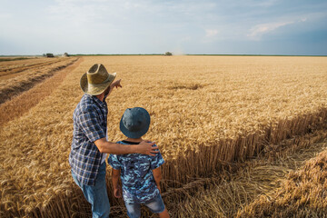 Naklejka na ściany i meble Farmers are standing in their wheat field while the harvesting is taking place. Father is teaching his son about agriculture. 
