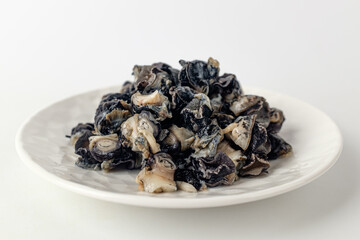 river snail on a white background