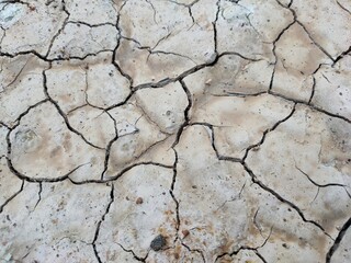 dry earth