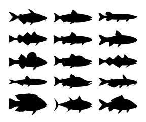 Vector fish silhouettes isolated on a white background